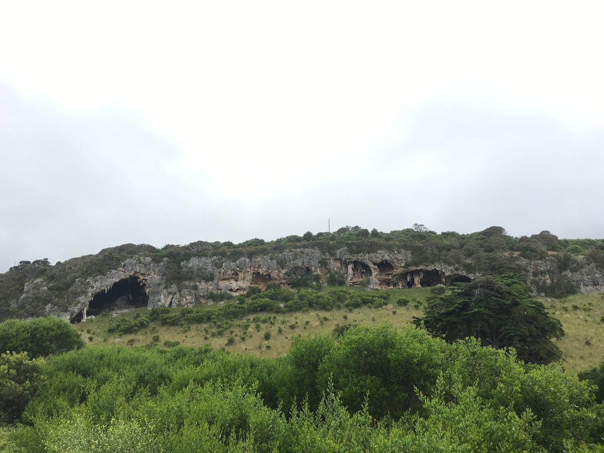 דירות פורטלאנד Province מראה חיצוני תמונה